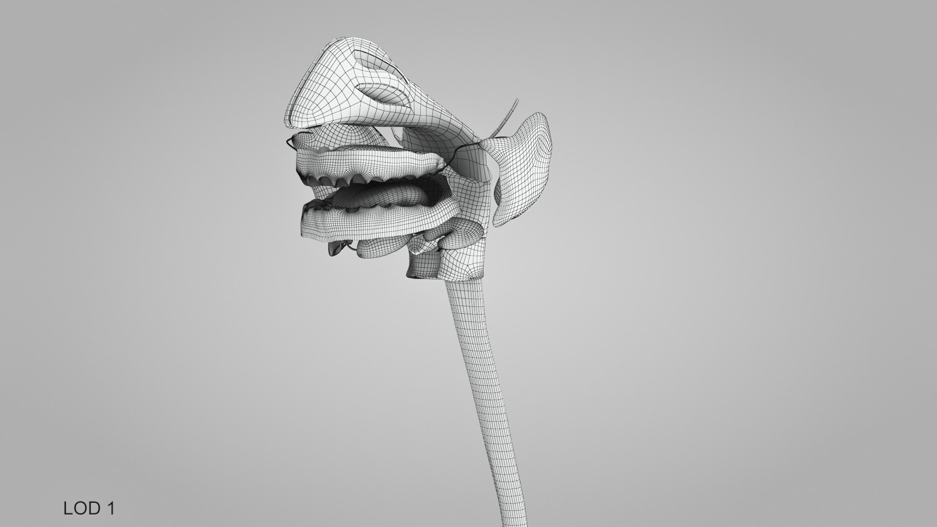 3D model Full human head anatomy https://p.turbosquid.com/ts-thumb/5c/nRsAX9/RG/humanheadanatomy_00028/jpg/1657565258/1920x1080/fit_q87/8738f486ef2bc3ceacf5227ac4a23dc6cb10148e/humanheadanatomy_00028.jpg