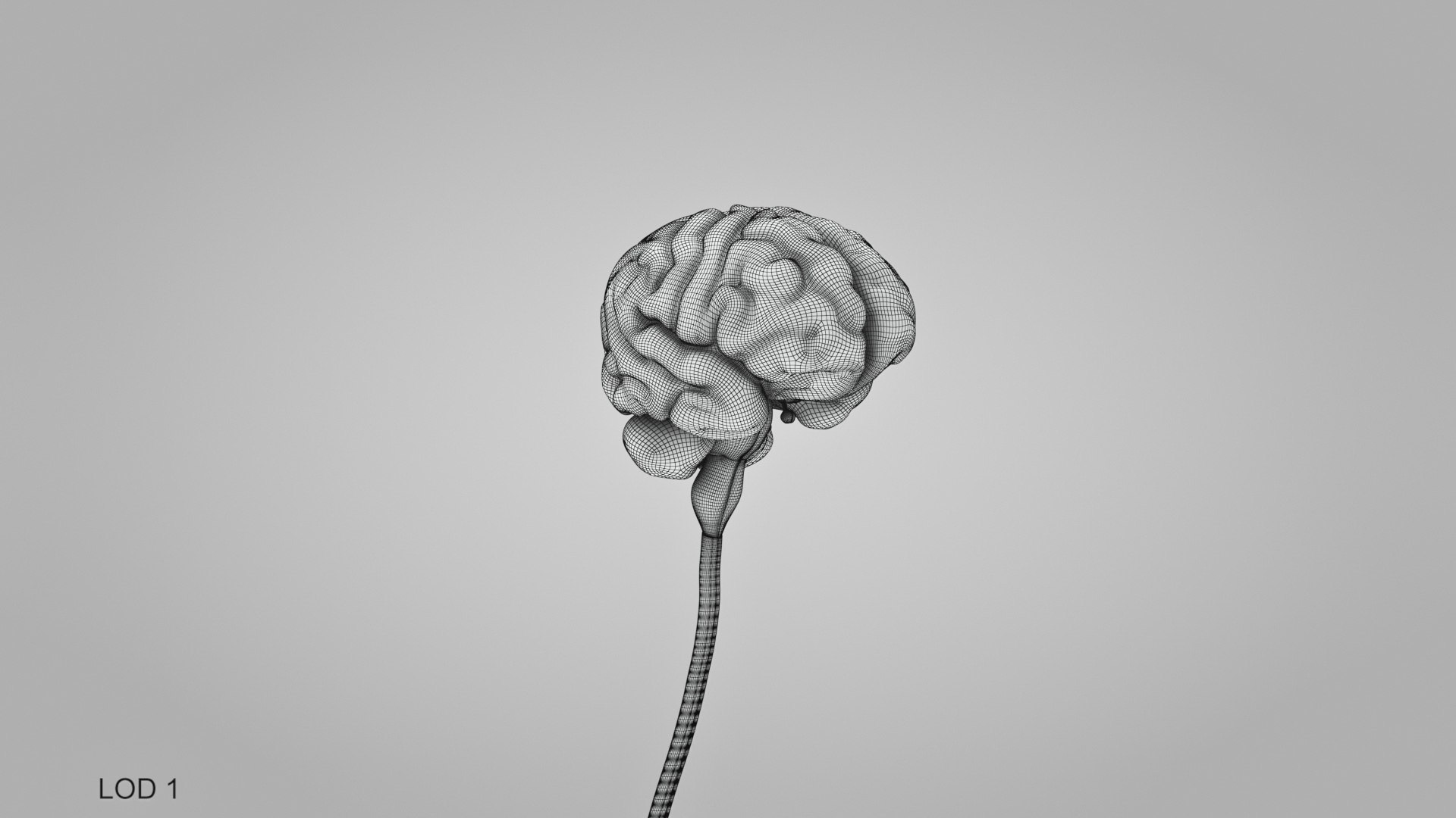 3D model Full human head anatomy https://p.turbosquid.com/ts-thumb/5c/nRsAX9/TX/humanheadanatomy_00022/jpg/1657565244/1920x1080/fit_q87/c335d696dd9aa7d622076c181ce427597426a488/humanheadanatomy_00022.jpg