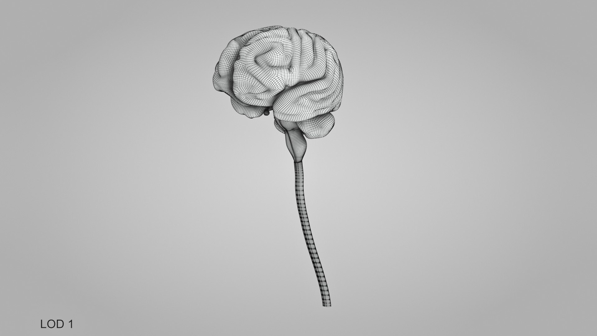 3D model Full human head anatomy https://p.turbosquid.com/ts-thumb/5c/nRsAX9/XL/humanheadanatomy_00018/jpg/1657565238/1920x1080/fit_q87/50518e1d3b9d280ea7e1af69ad8c104216ad8b2b/humanheadanatomy_00018.jpg