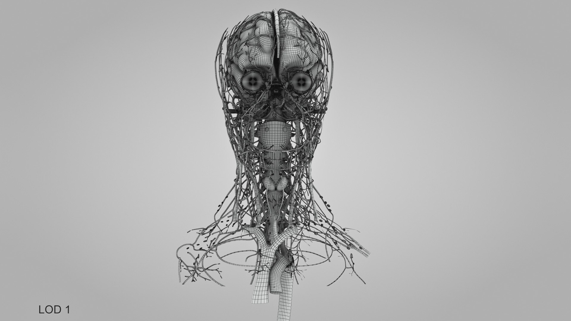 3D model Full human head anatomy https://p.turbosquid.com/ts-thumb/5c/nRsAX9/YK/humanheadanatomy_00066/jpg/1657565346/1920x1080/fit_q87/faf4bec84c265c3ed110bb6b591d53b72220f5b2/humanheadanatomy_00066.jpg