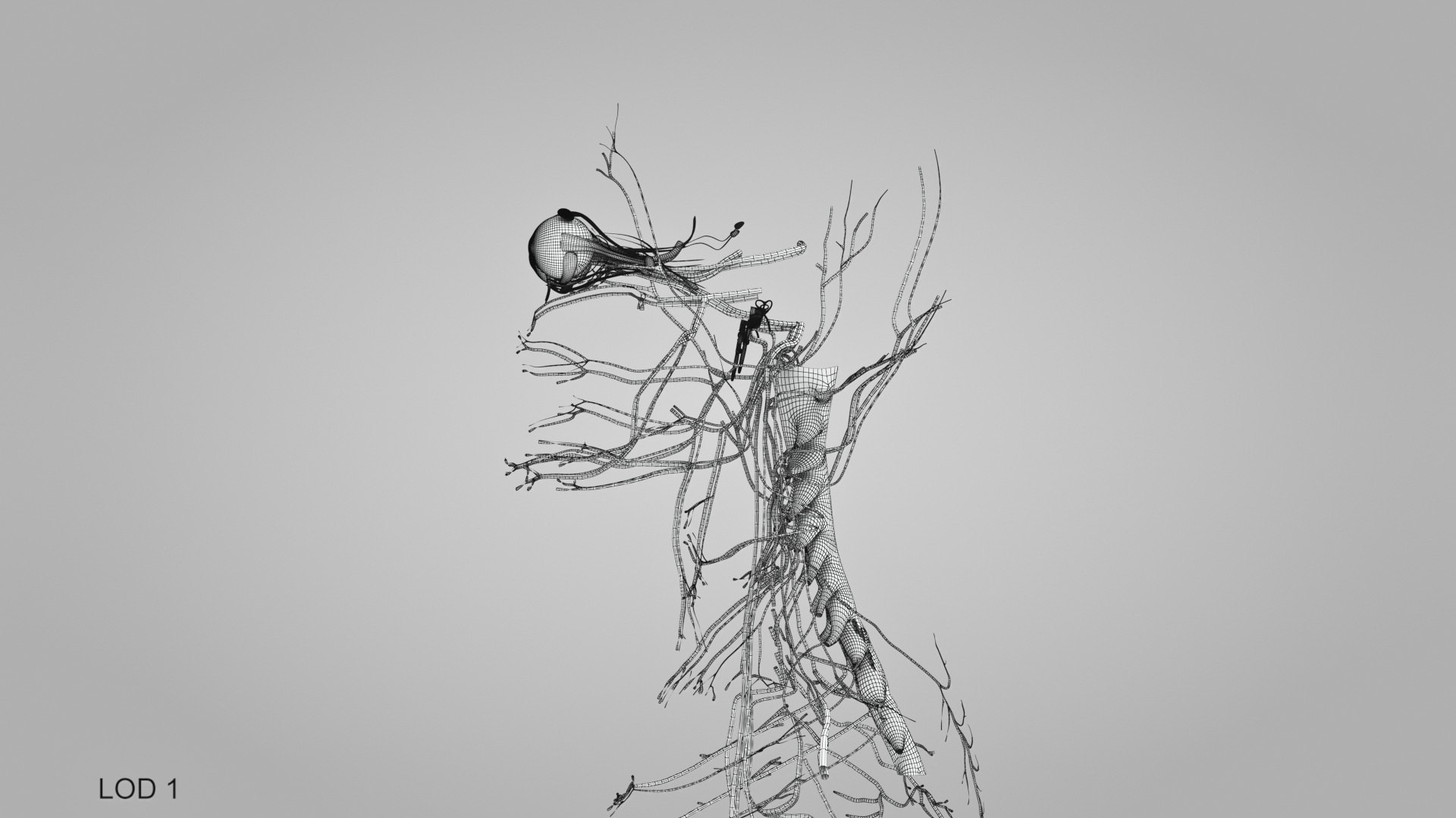 3D model Full human head anatomy https://p.turbosquid.com/ts-thumb/5c/nRsAX9/ZC/humanheadanatomy_00012/jpg/1657565225/1920x1080/fit_q87/179fa04184110303507b728973aafb7f5ccb9e38/humanheadanatomy_00012.jpg