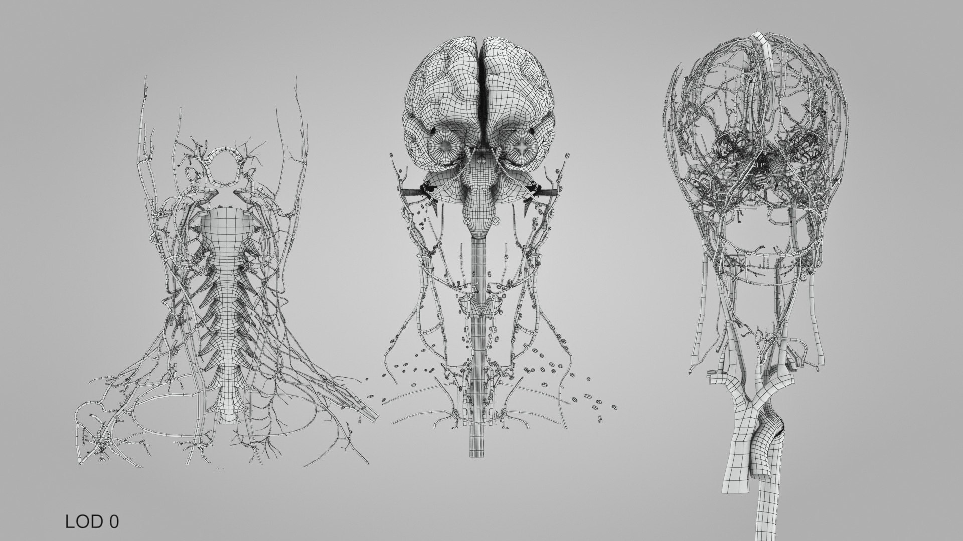 3D model Full human head anatomy https://p.turbosquid.com/ts-thumb/5c/nRsAX9/ZC/humanheadanatomy_00067/jpg/1657565354/1920x1080/fit_q87/8c5333a2ea1b45019250e8a84c585b3a4545c4a0/humanheadanatomy_00067.jpg