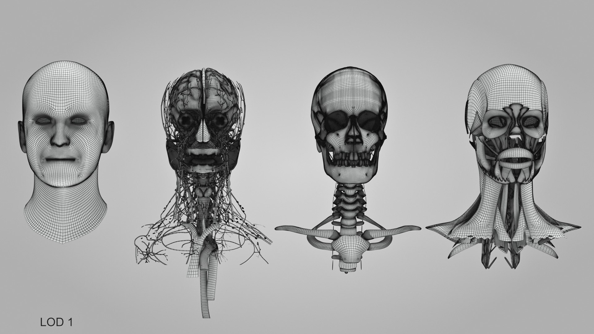 3D model Full human head anatomy https://p.turbosquid.com/ts-thumb/5c/nRsAX9/c9/humanheadanatomy_00046/jpg/1657565294/1920x1080/fit_q87/511076b60b88e10c7869a471f9d55e38a30f1149/humanheadanatomy_00046.jpg