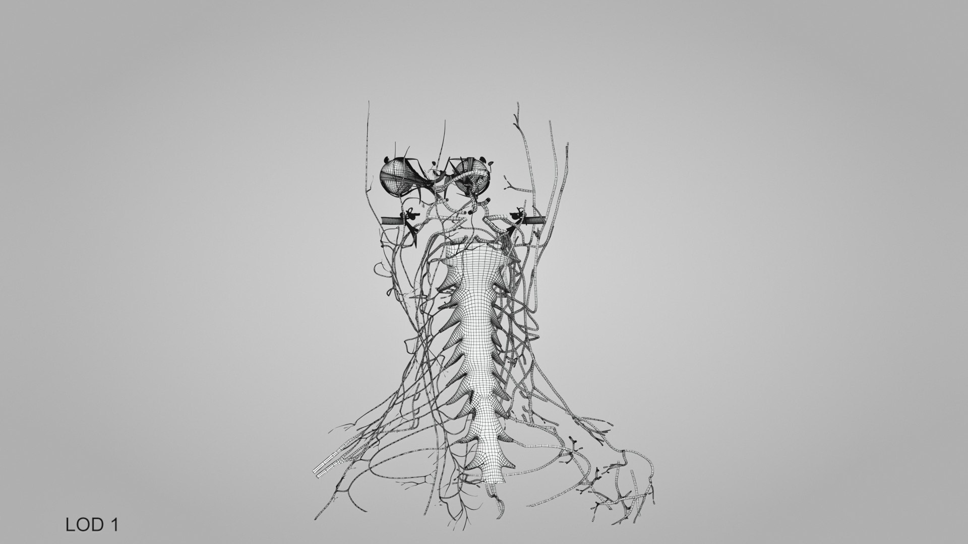 3D model Full human head anatomy https://p.turbosquid.com/ts-thumb/5c/nRsAX9/dM/humanheadanatomy_00014/jpg/1657565232/1920x1080/fit_q87/cc19c1067d66eabfab48167c0e397c68add22e5c/humanheadanatomy_00014.jpg