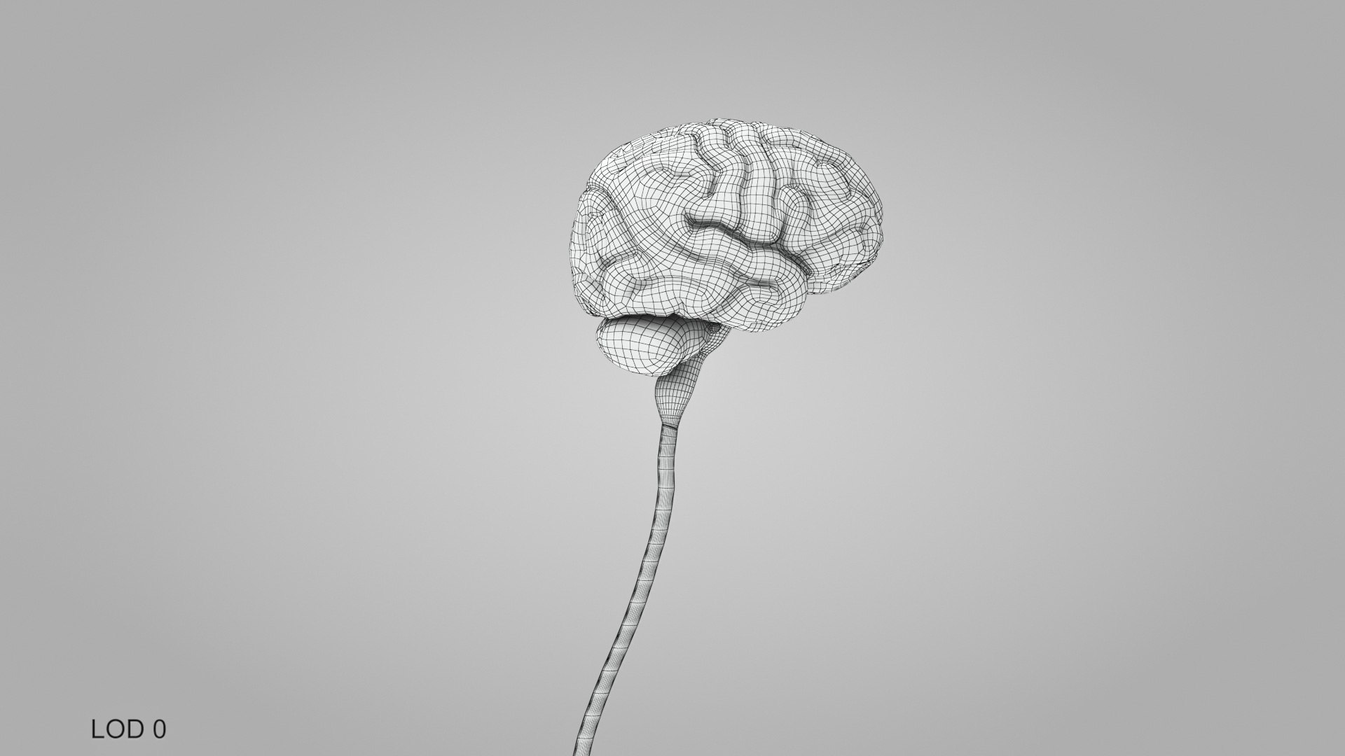 3D model Full human head anatomy https://p.turbosquid.com/ts-thumb/5c/nRsAX9/dp/humanheadanatomy_00019/jpg/1657565239/1920x1080/fit_q87/4ab263e3edfd59427e3a403d0754f2ea08875521/humanheadanatomy_00019.jpg