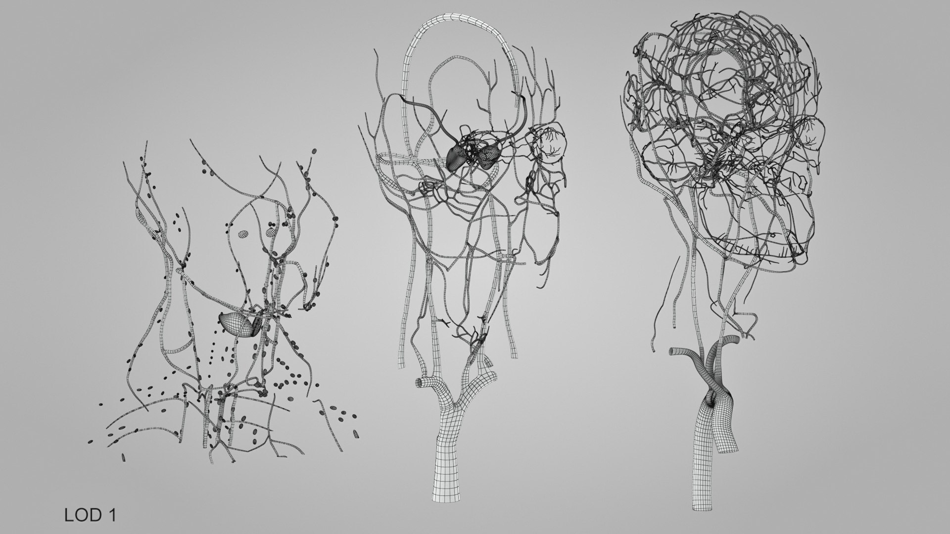 3D model Full human head anatomy https://p.turbosquid.com/ts-thumb/5c/nRsAX9/kF/humanheadanatomy_00060/jpg/1657565335/1920x1080/fit_q87/8f8d1beed871a1e53f366724e213e7ae3c6ed708/humanheadanatomy_00060.jpg