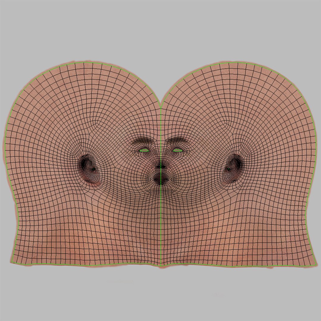 3D model Full human head anatomy https://p.turbosquid.com/ts-thumb/5c/nRsAX9/kZ/uv_head/jpg/1657565536/1920x1080/fit_q87/74b765c6ab64cae8ef05032338bfcefd16e756f6/uv_head.jpg