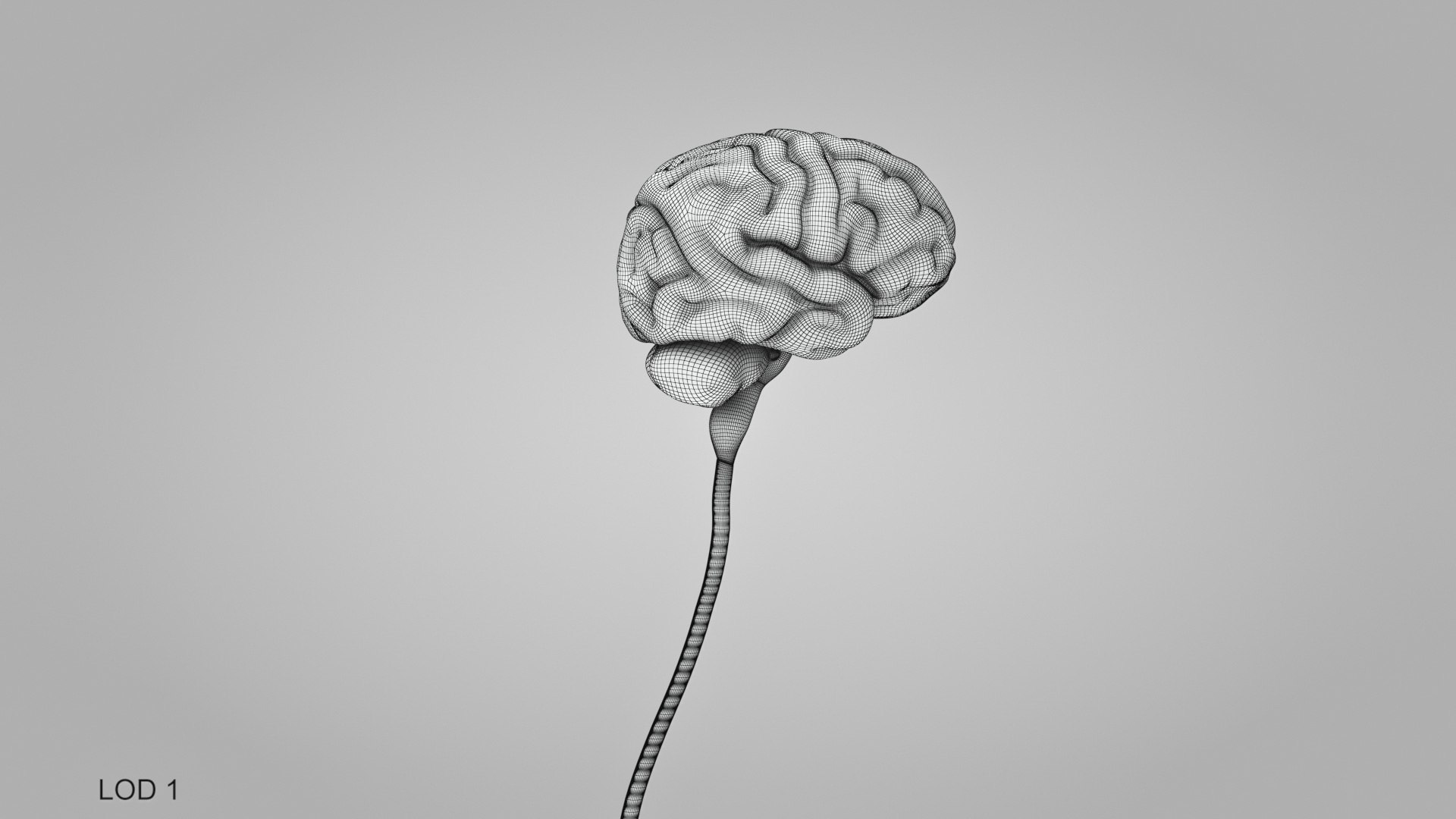 3D model Full human head anatomy https://p.turbosquid.com/ts-thumb/5c/nRsAX9/m4/humanheadanatomy_00020/jpg/1657565241/1920x1080/fit_q87/f2ad71a2301748739177d7e1f00d4ba01bc00887/humanheadanatomy_00020.jpg
