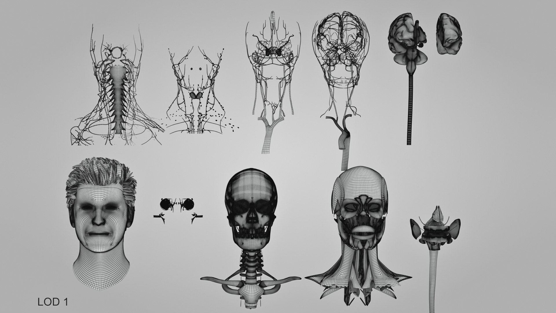 3D model Full human head anatomy https://p.turbosquid.com/ts-thumb/5c/nRsAX9/mr/humanheadanatomy_00074/jpg/1657565369/1920x1080/fit_q87/029292a00fe2b4f8c053918f2c0c4eba4f285426/humanheadanatomy_00074.jpg