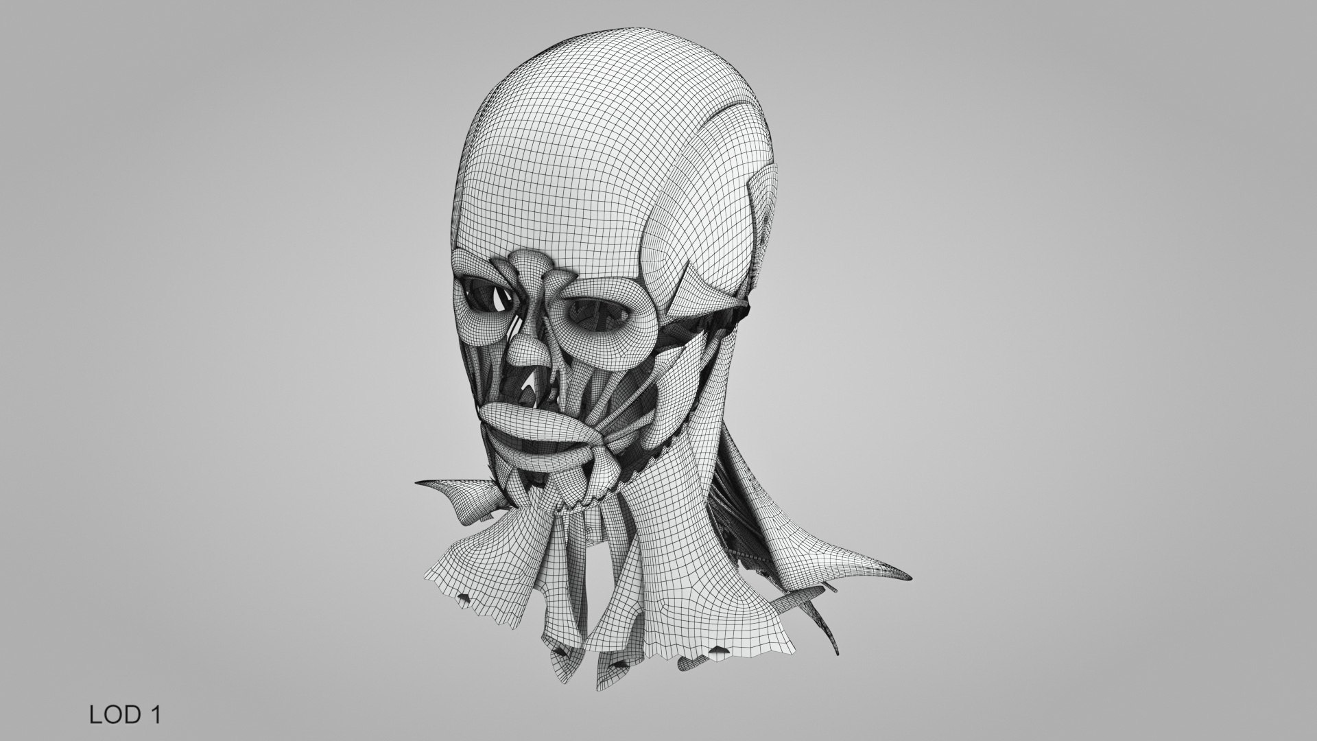 3D model Full human head anatomy https://p.turbosquid.com/ts-thumb/5c/nRsAX9/sX/humanheadanatomy_00044/jpg/1657565294/1920x1080/fit_q87/03e119978dbc56cdc262473f933303f2cc83902a/humanheadanatomy_00044.jpg