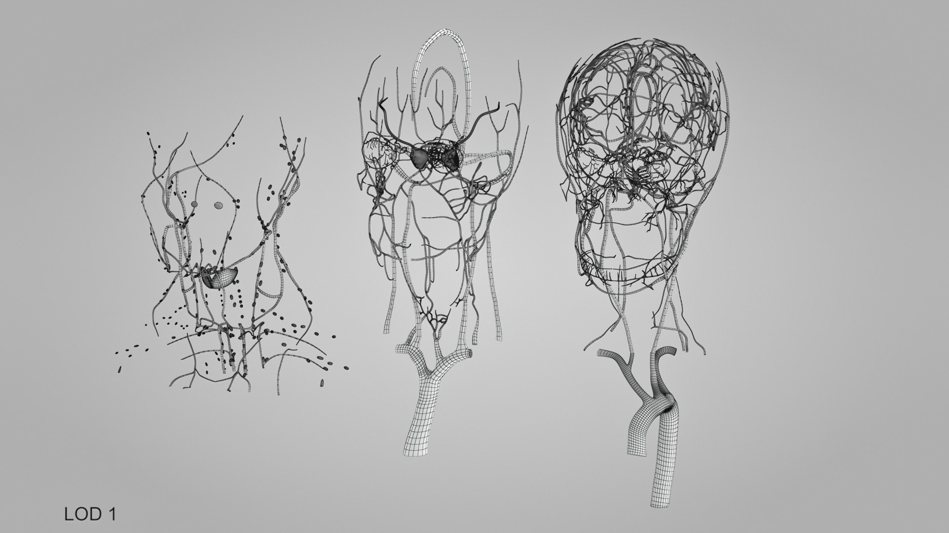 3D model Full human head anatomy https://p.turbosquid.com/ts-thumb/5c/nRsAX9/uv/humanheadanatomy_00056/jpg/1657565316/1920x1080/fit_q87/e56f966aede0ec81b8593375793a086813879492/humanheadanatomy_00056.jpg