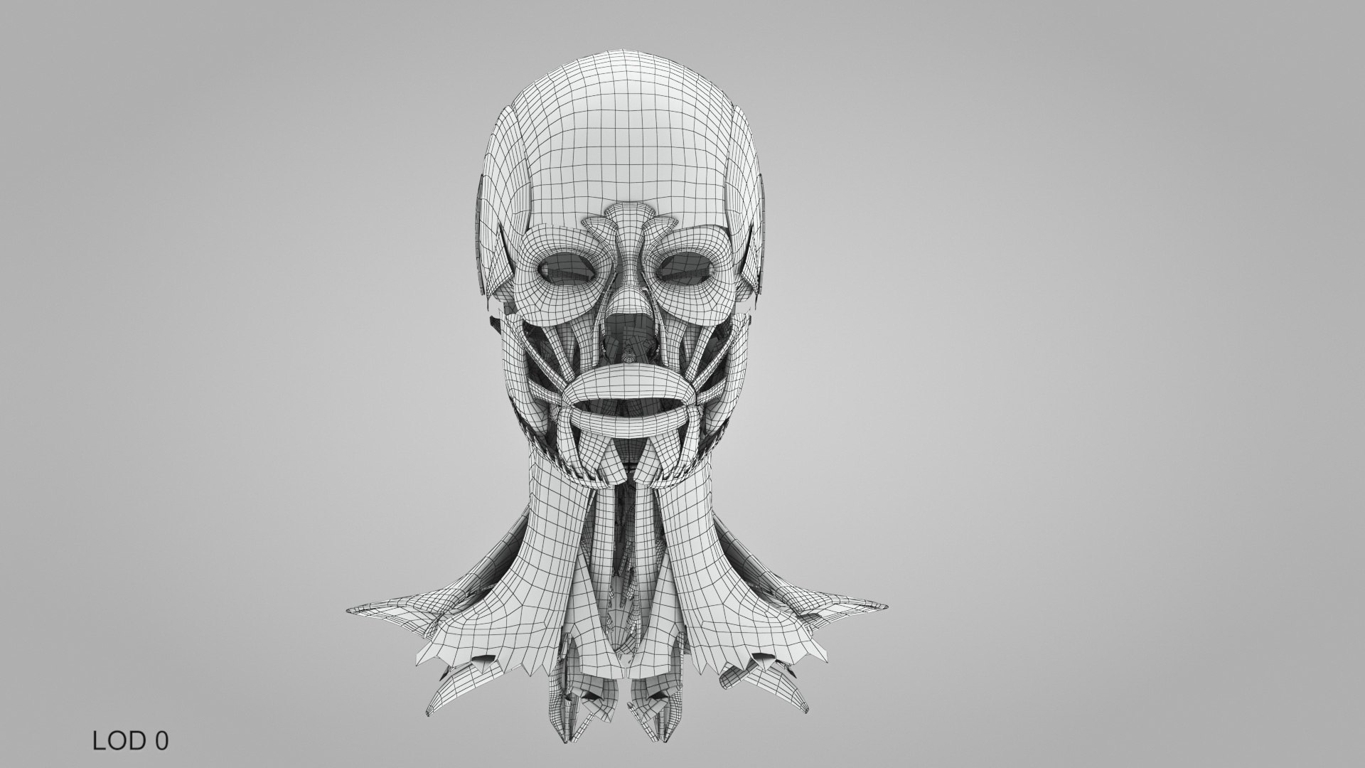 3D model Full human head anatomy https://p.turbosquid.com/ts-thumb/5c/nRsAX9/xb/humanheadanatomy_00047/jpg/1657565297/1920x1080/fit_q87/d3dba697971d62b2458886467a8ac86a610ad0aa/humanheadanatomy_00047.jpg