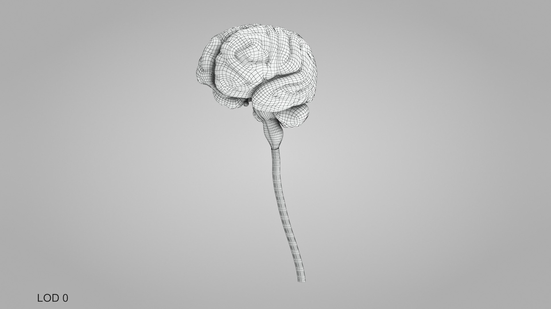 3D model Full human head anatomy https://p.turbosquid.com/ts-thumb/5c/nRsAX9/xd/humanheadanatomy_00017/jpg/1657565237/1920x1080/fit_q87/c44d8515348ac1f0d4430b49a011fc2c98a4dd82/humanheadanatomy_00017.jpg