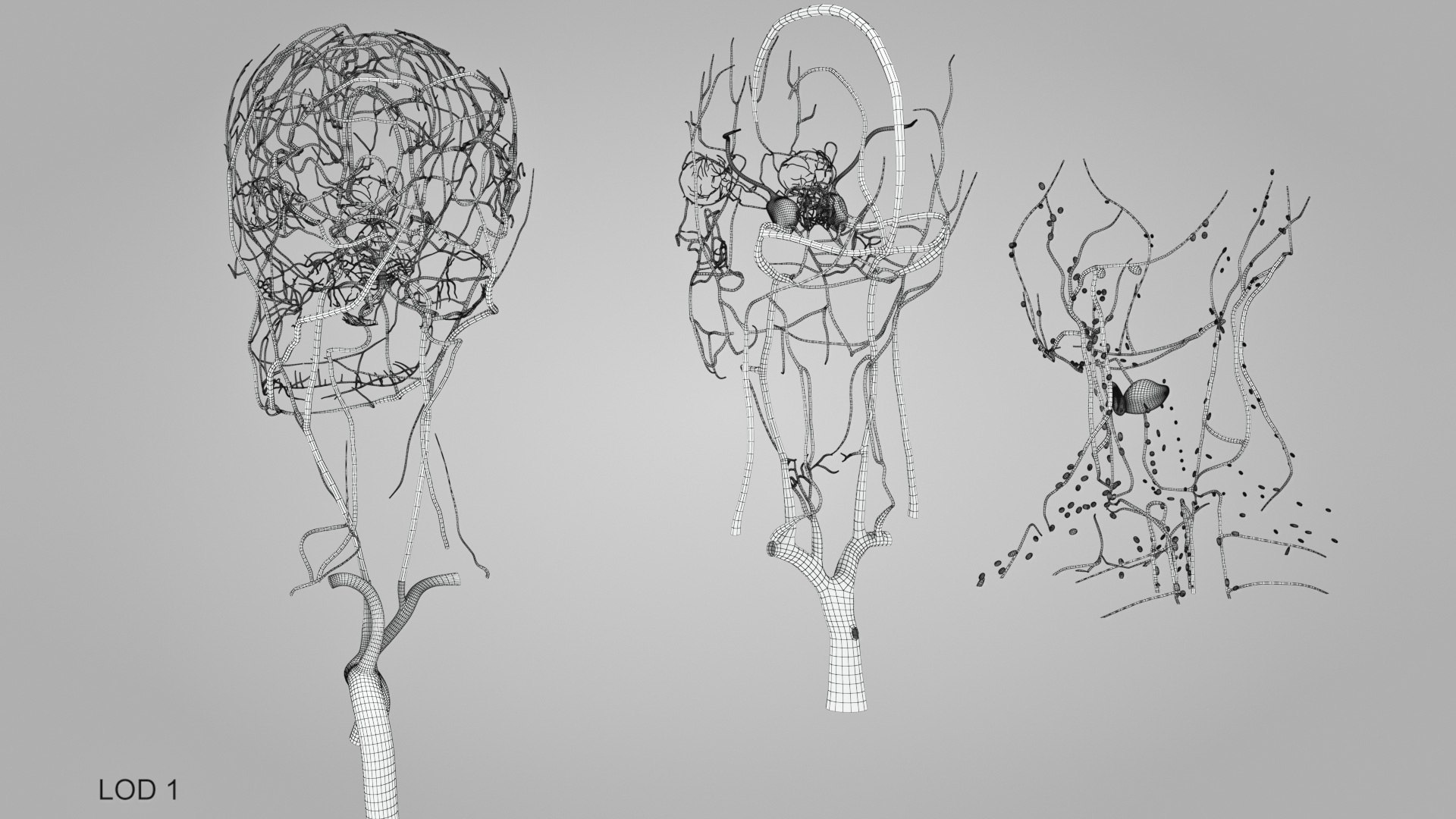 3D model Full human head anatomy https://p.turbosquid.com/ts-thumb/5c/nRsAX9/yV/humanheadanatomy_00062/jpg/1657565334/1920x1080/fit_q87/d411220fc4eb690caccd285e4e1617334f795a6a/humanheadanatomy_00062.jpg