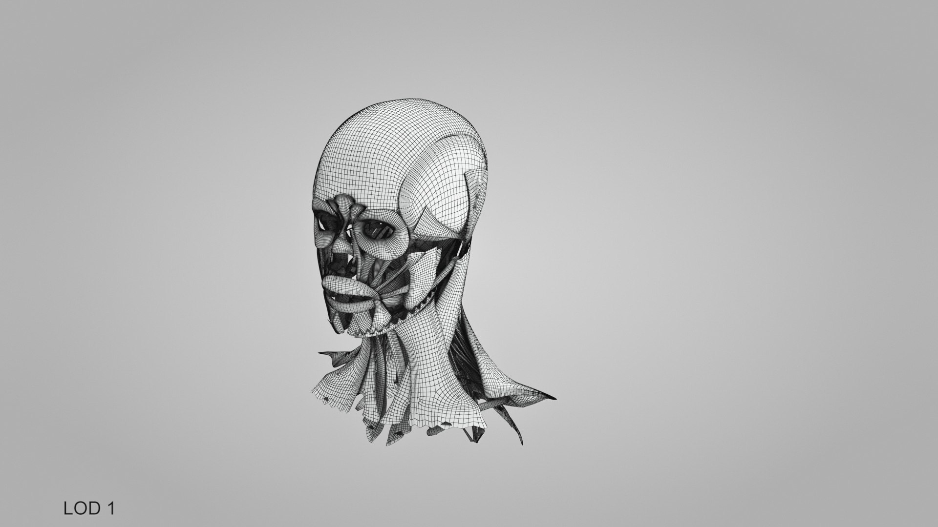 3D model Full human head anatomy https://p.turbosquid.com/ts-thumb/5c/nRsAX9/yj/humanheadanatomy_00054/jpg/1657565316/1920x1080/fit_q87/d3979afe3e9045d0b38db3ee8c9af088b9b182e8/humanheadanatomy_00054.jpg