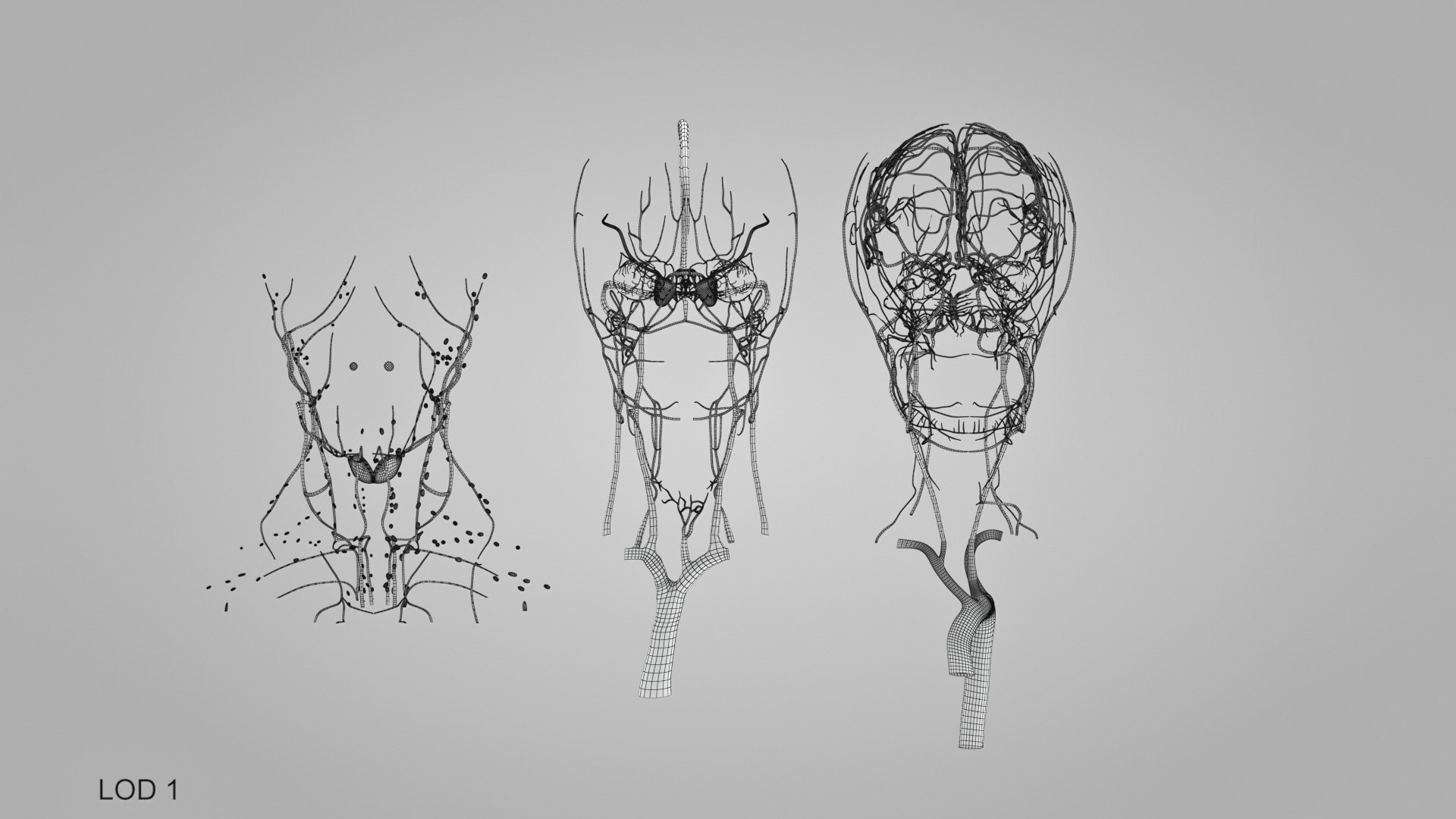 3D model Full human head anatomy https://p.turbosquid.com/ts-thumb/5c/nRsAX9/z3/humanheadanatomy_00058/jpg/1657565323/1920x1080/fit_q87/eea1ddcb3d60e4e6d082f60538a1b8ca8960137d/humanheadanatomy_00058.jpg