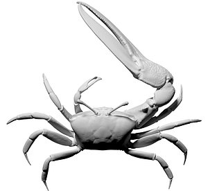 free obj mode scan fiddler crab