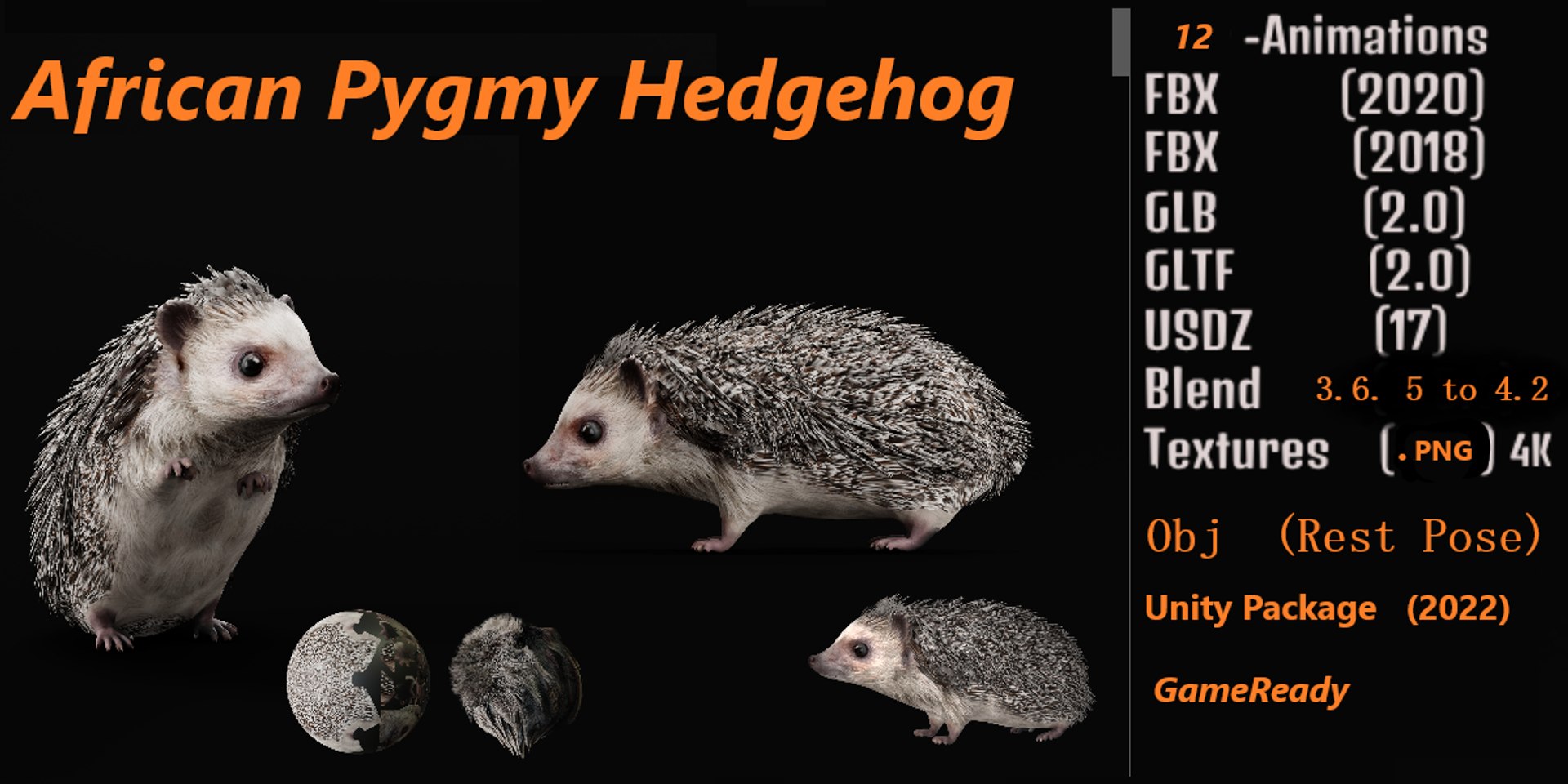 African Pygmy Hedgehog 3D Model - TurboSquid 2296260