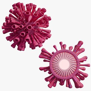 Corona Virus - PBR 3D model