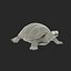Turtles Collection 4 model
