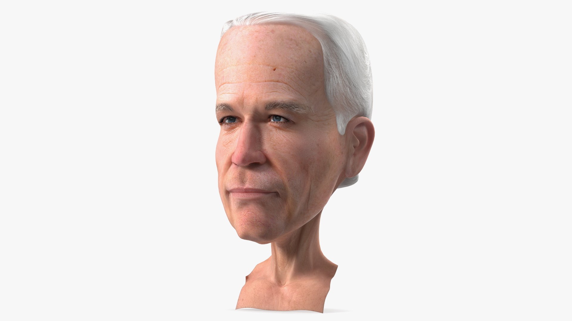 Cartoon Joe Biden Head 3D model preview