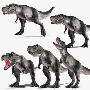 Rigged T Rex Roaring Animated Collection 2 for Cinema 4D 3D model