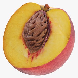 peach half cut seed 3D model