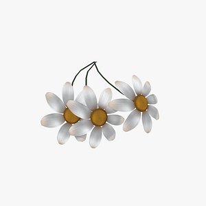 Medieval Chamomile