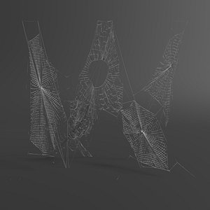 web letter w 3D model