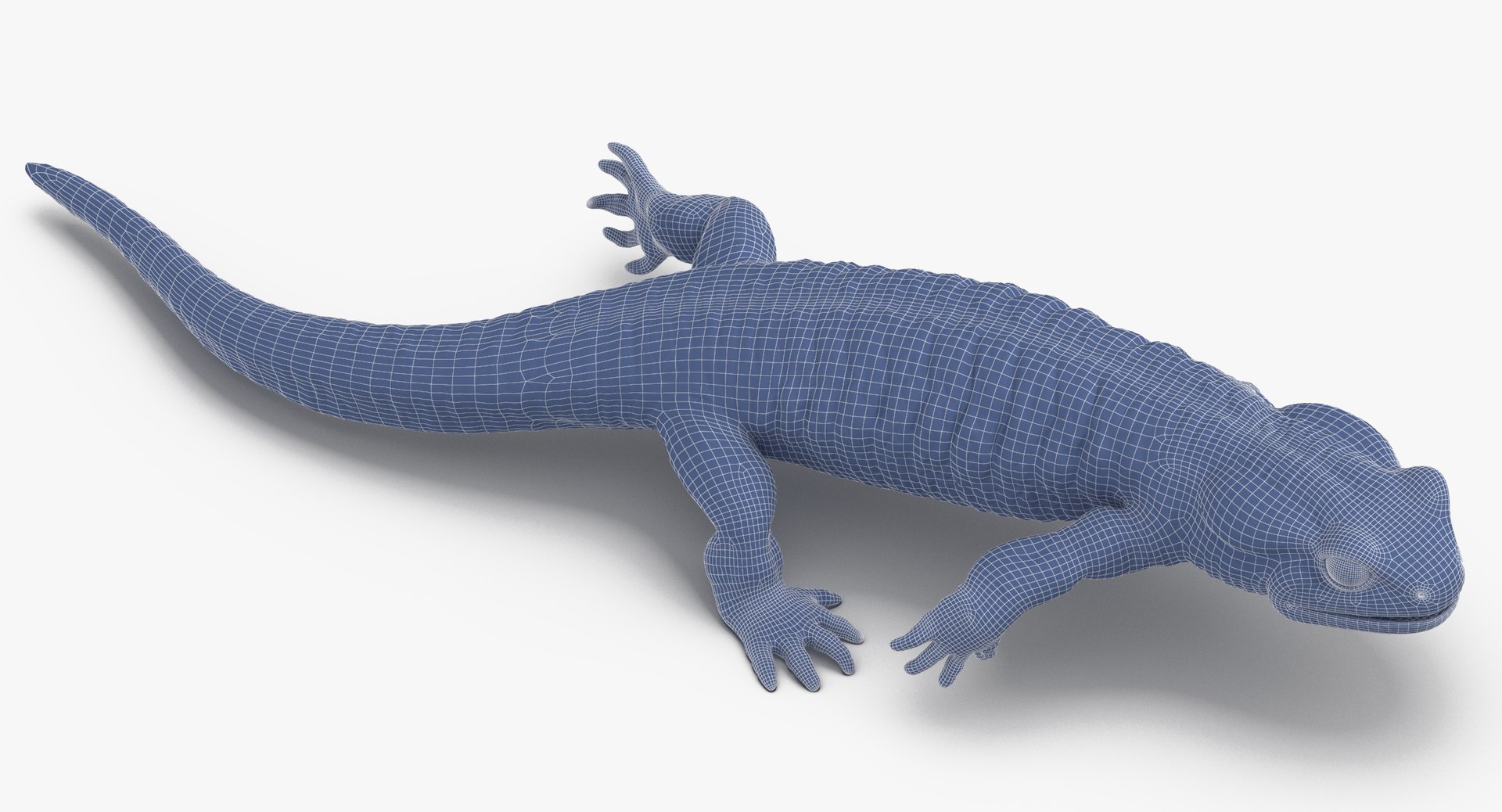 salamander poses 3D model https://p.turbosquid.com/ts-thumb/5d/tohFLr/6gTOzeM8/salamander_running_wireframe_01_0005/jpg/1553522747/1920x1080/fit_q87/38f830e9f43c69d59ce726e52682c43816155a79/salamander_running_wireframe_01_0005.jpg