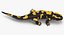Salamander Poses
