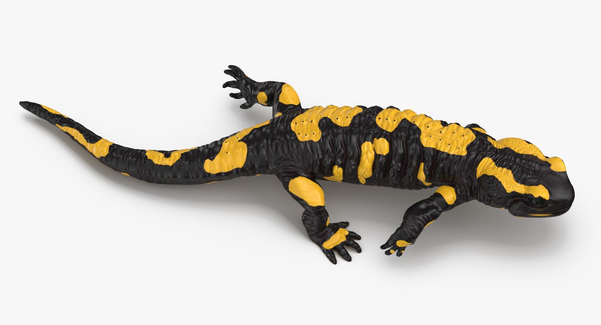 salamander poses 3D model https://p.turbosquid.com/ts-thumb/5d/tohFLr/I3JDEKsi/salamander_running_thumbnail_0003/jpg/1553522619/1920x1080/fit_q87/c5fc4ea045ada417b5bbf1a03de7fe7d879e5f1a/salamander_running_thumbnail_0003.jpg