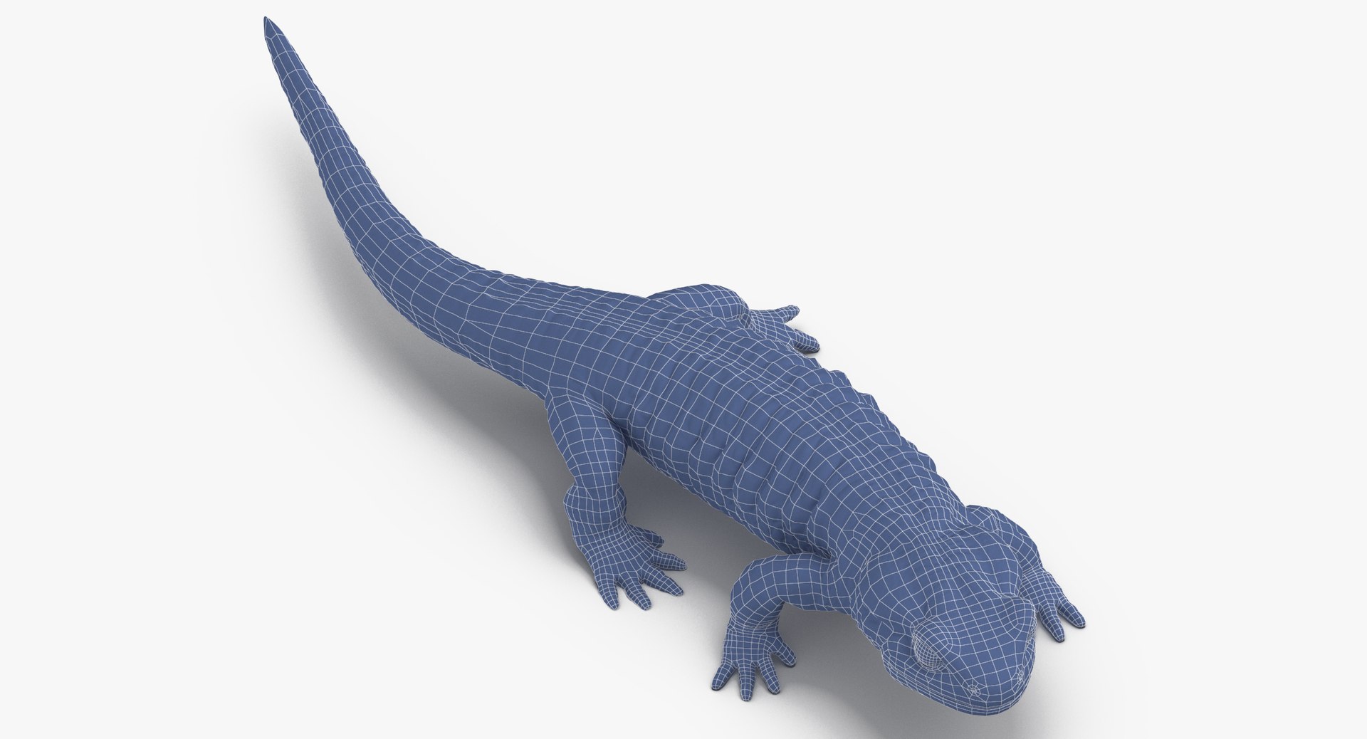 salamander poses 3D model https://p.turbosquid.com/ts-thumb/5d/tohFLr/OODDpHSg/salamander_walking_wireframe_0001/jpg/1553522783/1920x1080/fit_q87/1f9d811226c912a5f4ffcbe6834f9df6d71086ce/salamander_walking_wireframe_0001.jpg