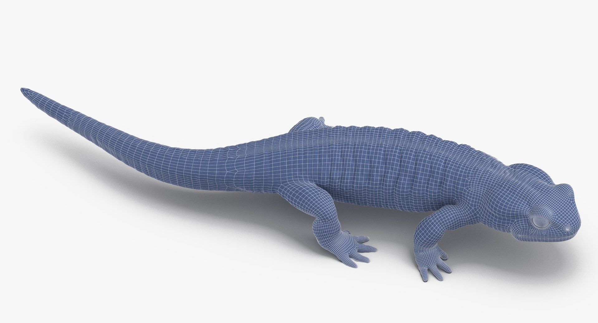 salamander poses 3D model https://p.turbosquid.com/ts-thumb/5d/tohFLr/Quh6pSwO/salamander_walking_wireframe_01_0005/jpg/1553522783/1920x1080/fit_q87/88da6c804df65c40757b282fd9ccd578d8fbf74d/salamander_walking_wireframe_01_0005.jpg