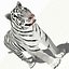 Tigre Amur (Blanco)