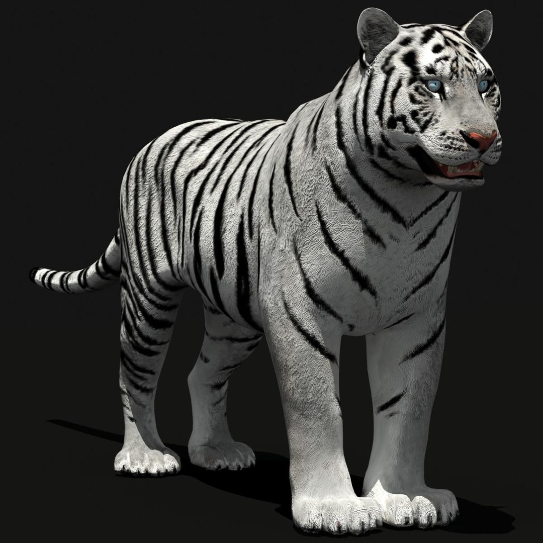 amur tiger white 3d 3ds https://p.turbosquid.com/ts-thumb/5d/uCSPJL/5Ut47zKe/tiger02/jpg/1350247054/1920x1080/fit_q87/d265232220f0a3fa6e6cd024917761f842cfbea2/tiger02.jpg
