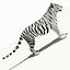 Tigre Amur (Blanco)