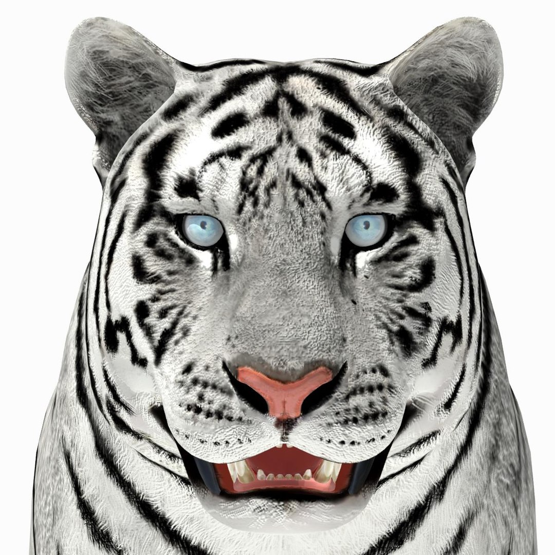 amur tiger white 3d 3ds https://p.turbosquid.com/ts-thumb/5d/uCSPJL/nItveC6v/tiger08/jpg/1350247591/1920x1080/fit_q87/b8c38b7f4479b5145abad9253e93421998c427c8/tiger08.jpg