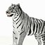 Tigre Amur (Blanco)