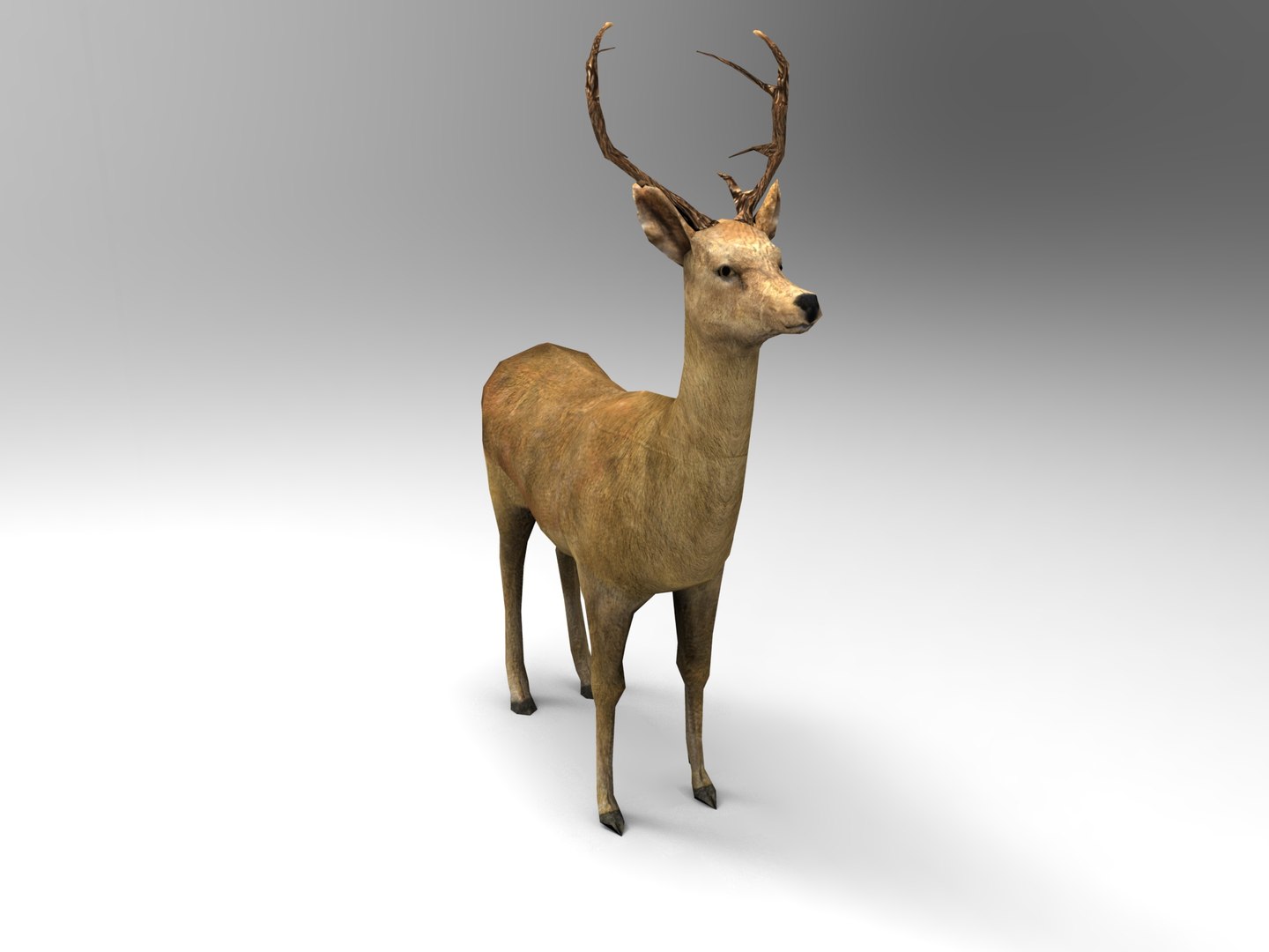 ready 3d model https://p.turbosquid.com/ts-thumb/5d/vcsDr4/AMsiOyji/deer01.332/jpg/1450251059/1920x1080/fit_q87/efd378191d40cef6026ca715933cc6b4b8e834ef/deer01.332.jpg