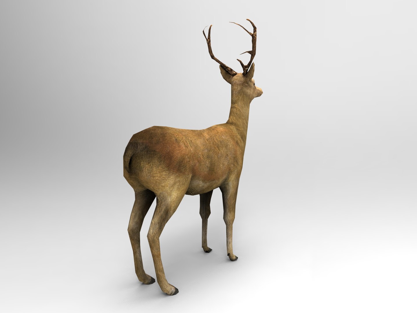 ready 3d model https://p.turbosquid.com/ts-thumb/5d/vcsDr4/LsDQzpHP/deer01.328/jpg/1450251058/1920x1080/fit_q87/5e7d68f77c971310382c514e306e56ceffb1f3c0/deer01.328.jpg