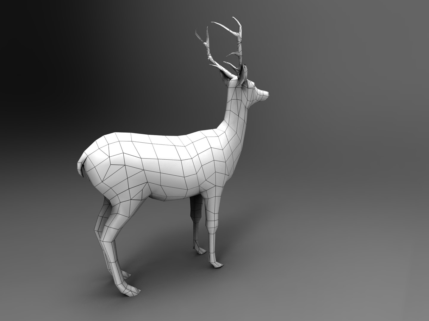 ready 3d model https://p.turbosquid.com/ts-thumb/5d/vcsDr4/eRpLkoW7/deer01.342/jpg/1450251059/1920x1080/fit_q87/2511b2815ca2471640c141f2fd705aa98b74b228/deer01.342.jpg