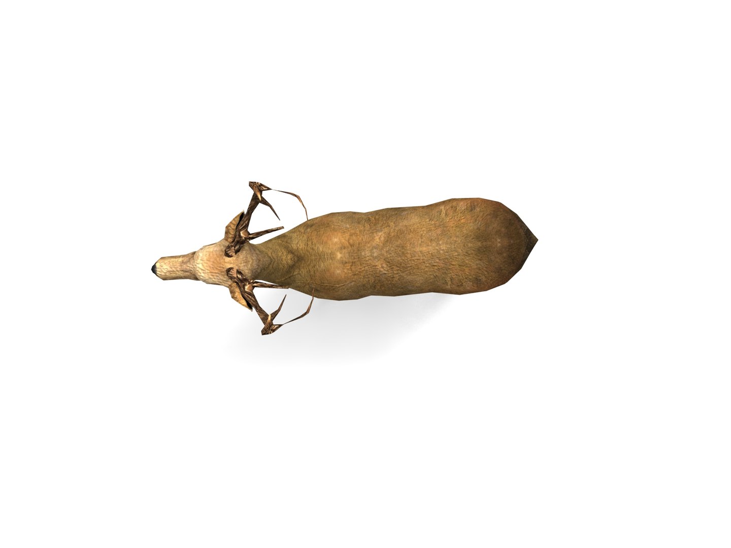 ready 3d model https://p.turbosquid.com/ts-thumb/5d/vcsDr4/j9EfclxT/deer01.334/jpg/1450251059/1920x1080/fit_q87/edc45389a25f0cc2008a43f3c25254b9eb40fcf4/deer01.334.jpg