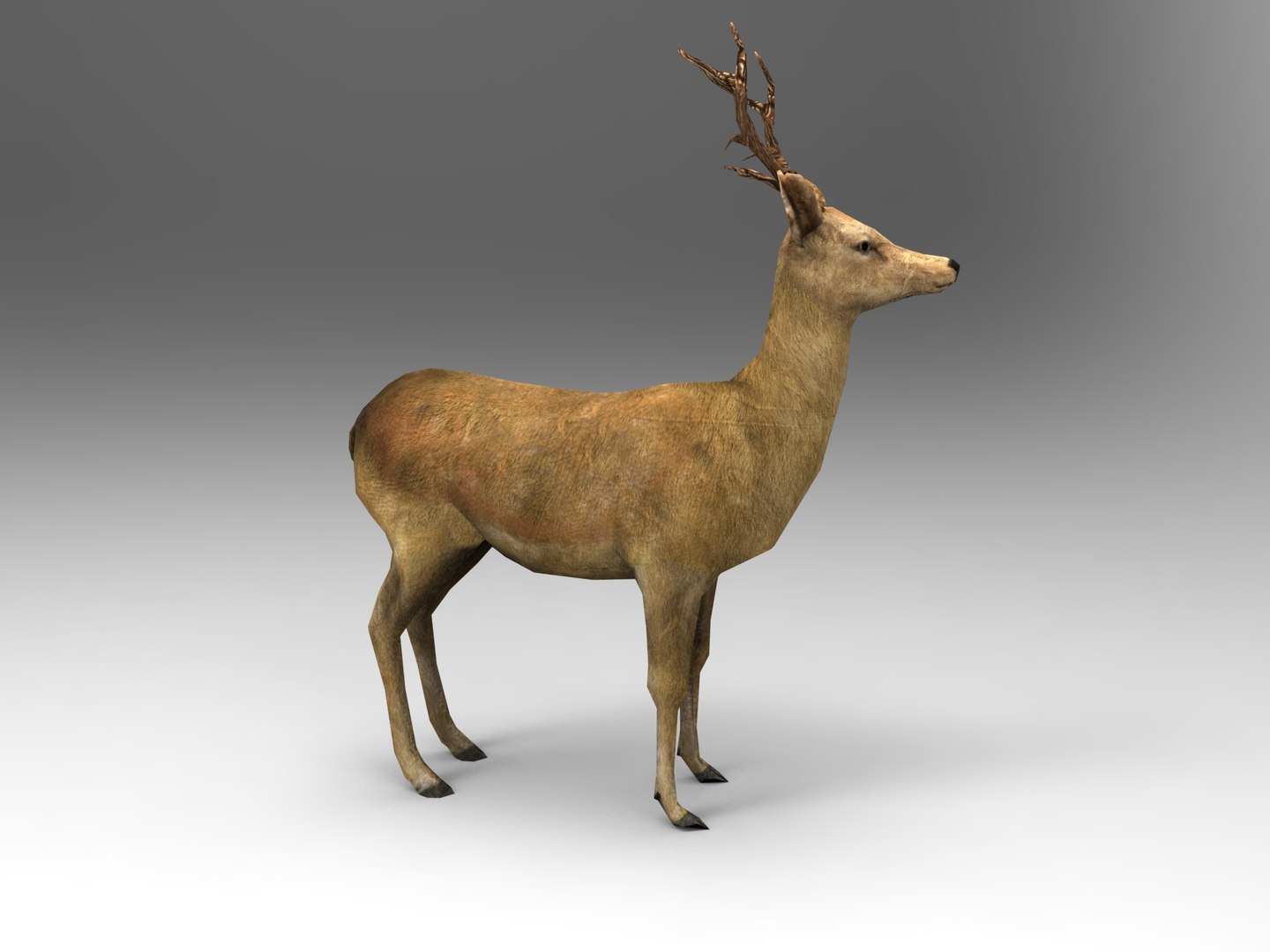 ready 3d model https://p.turbosquid.com/ts-thumb/5d/vcsDr4/kE6bEYOb/deer01.330/jpg/1450251058/1920x1080/fit_q87/f9d4b43f3184b1454e7550d660adc04a06c9139b/deer01.330.jpg