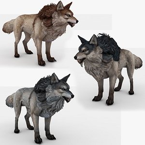 3 in 1 wolf Rigged and Animated 3D model