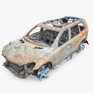Burned Car Wreck 11