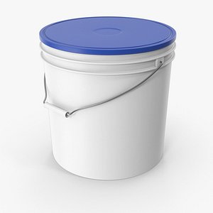 Blue Paint Plastic Bucket
