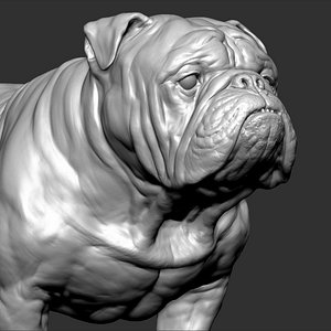 english bulldog dog vfx 3D