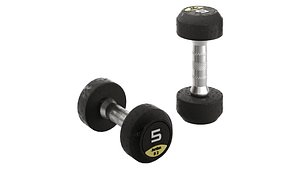 3D Jordan Fitness model