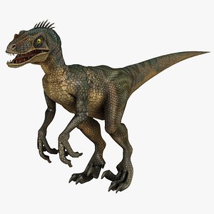 Velociraptor